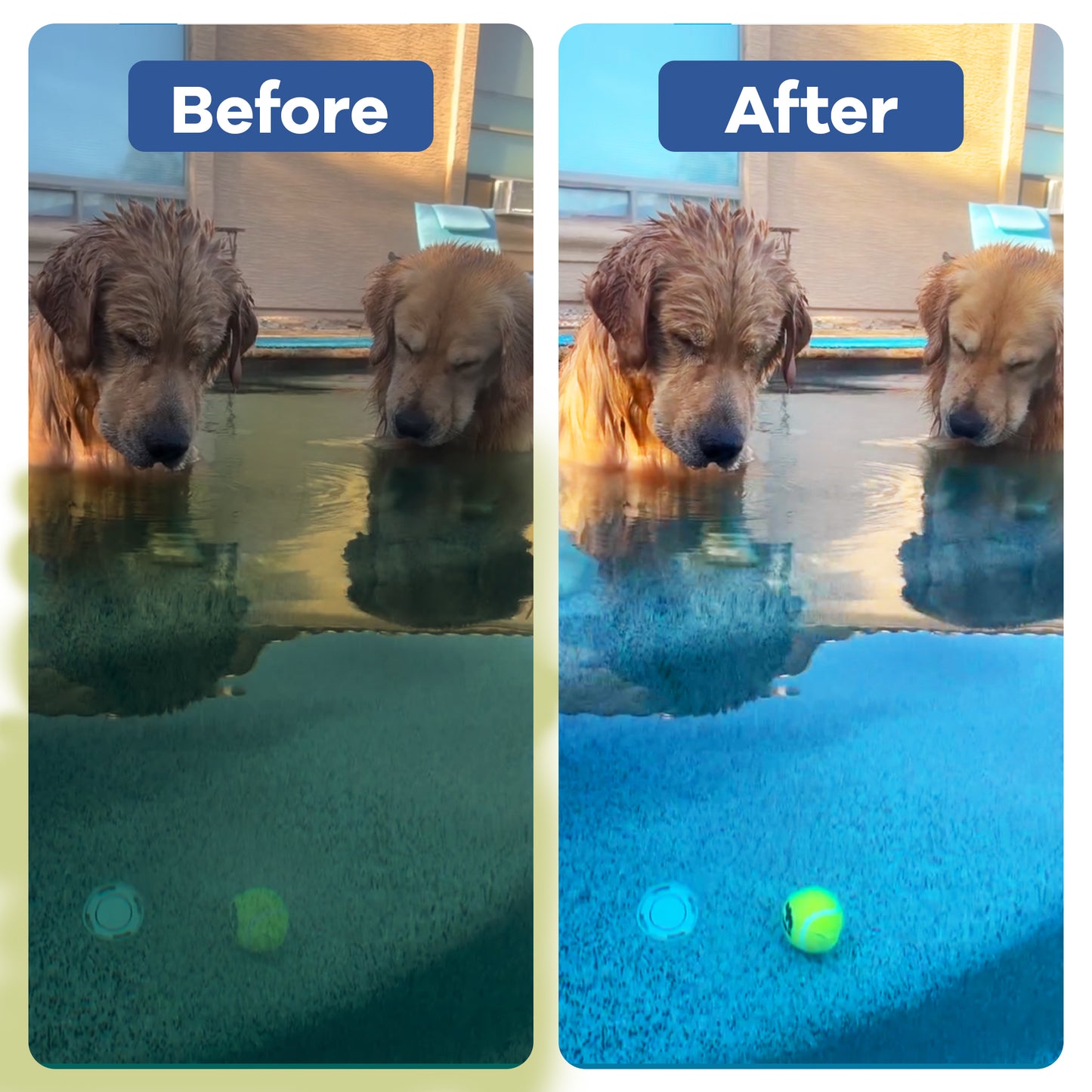 Spa & Hot Tub Clarifier